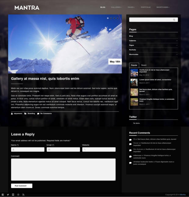 Mantra WordPress Theme Blog Post