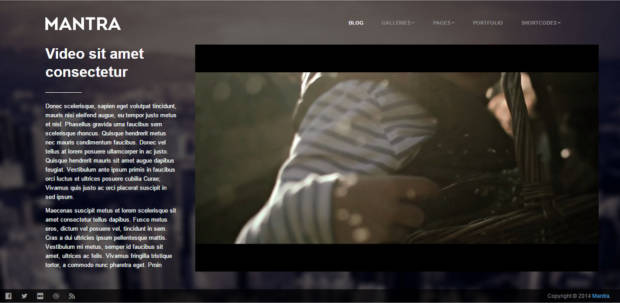 Mantra WordPress Theme Portfolio Page