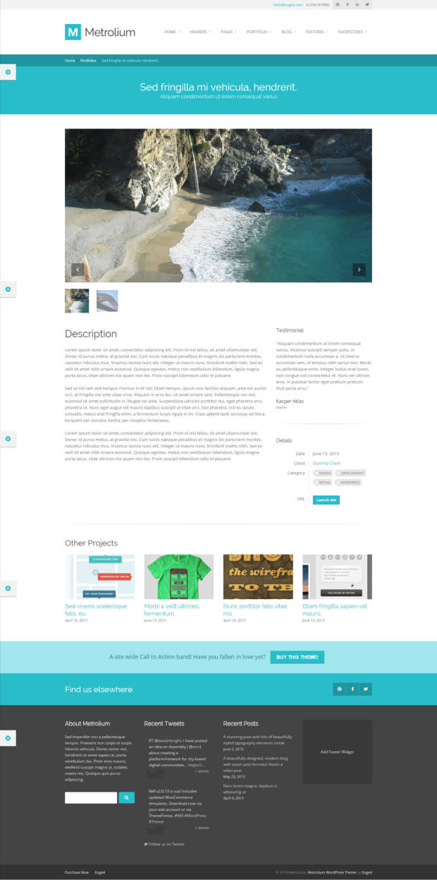 Metrolium WordPress Theme Portfolio Item