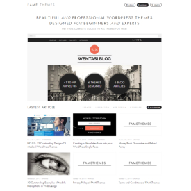 WordPress Themes By FameThemes FameThemes Premium Word Press Themes