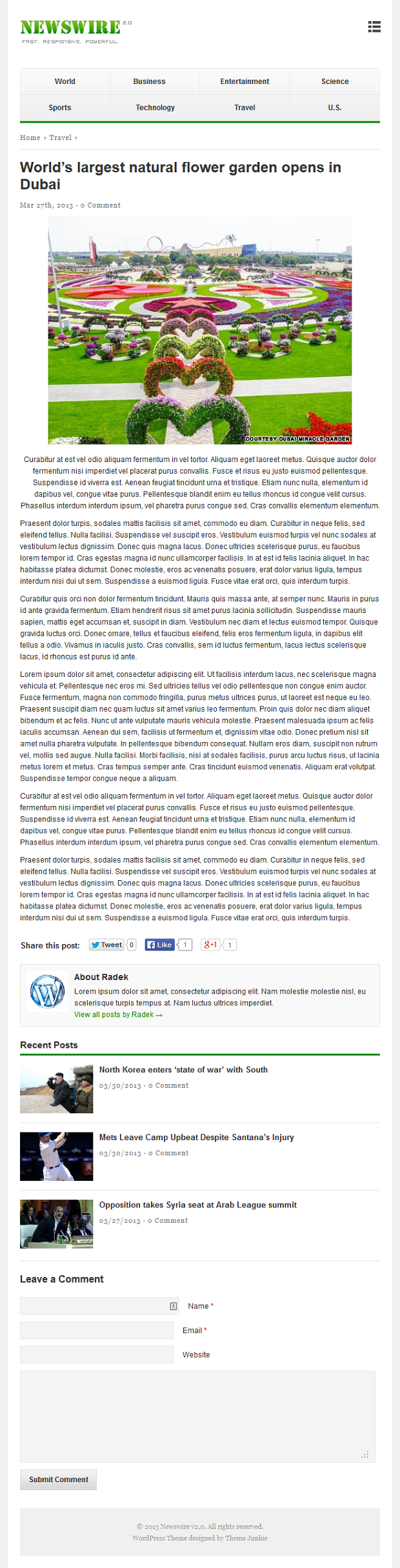 Newswire - Premium WordPress template by Theme Junkie