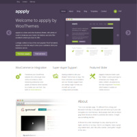 Appply Premium WordPress Theme