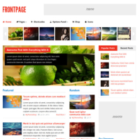 Frontpage WordPress Theme - WooCommerce-ready