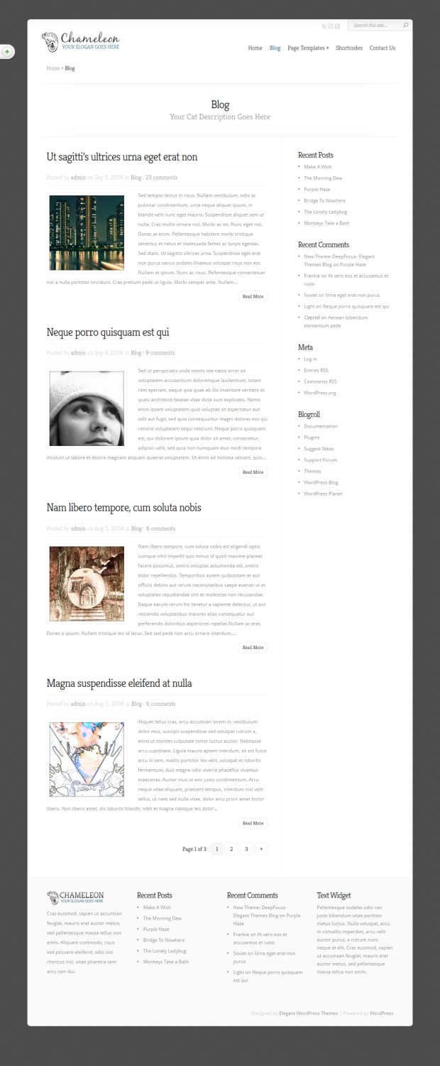 Chameleon WordPress Theme Blog Page Template