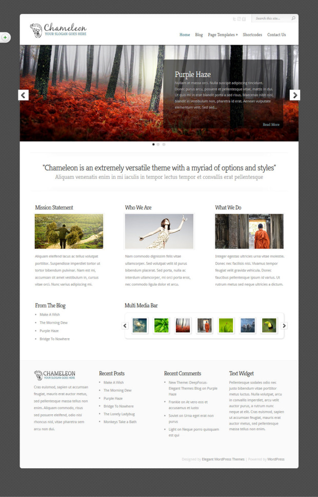 Chameleon WordPress Theme Home Page