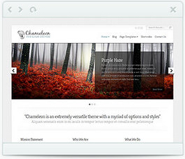Chameleon WordPress Theme