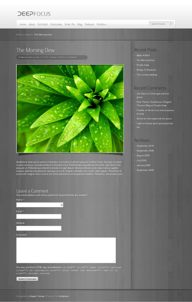 DeepFocus WordPress Theme Blog Post Template DeepFocus WordPress Theme Blog Post Template