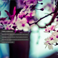 Maximize WooCommerce WordPress Theme