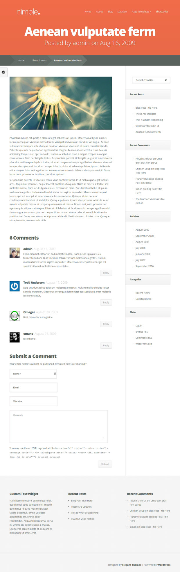 Nimble WordPress Theme Blog Post Template