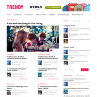 Trendy Minimalist WordPress Theme