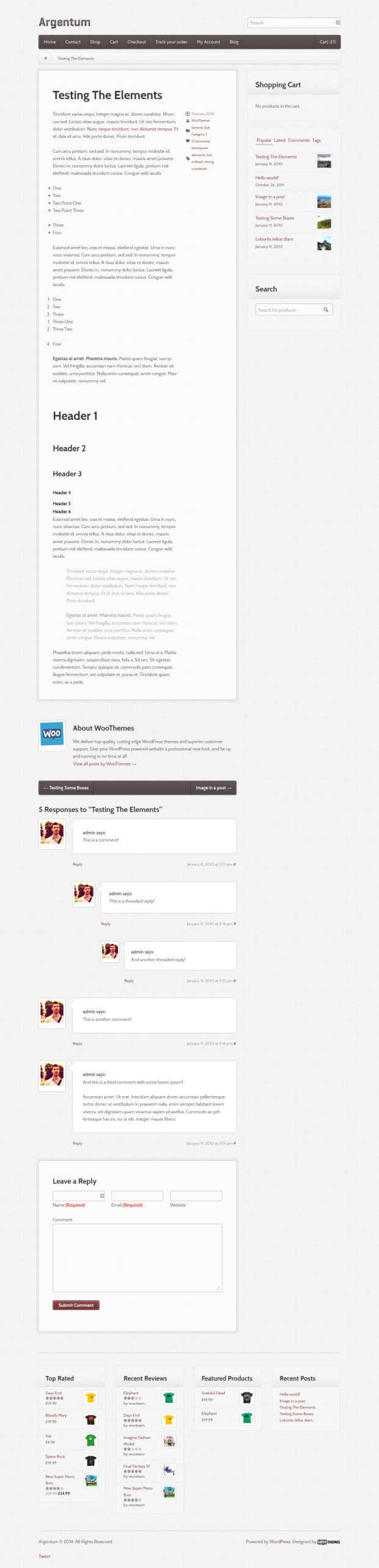 Argentum WooCommerce WordPress Theme Blog Post Template