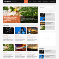 DayNight WordPress Theme