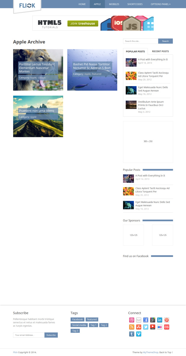 Flick WordPress Theme Archive Page