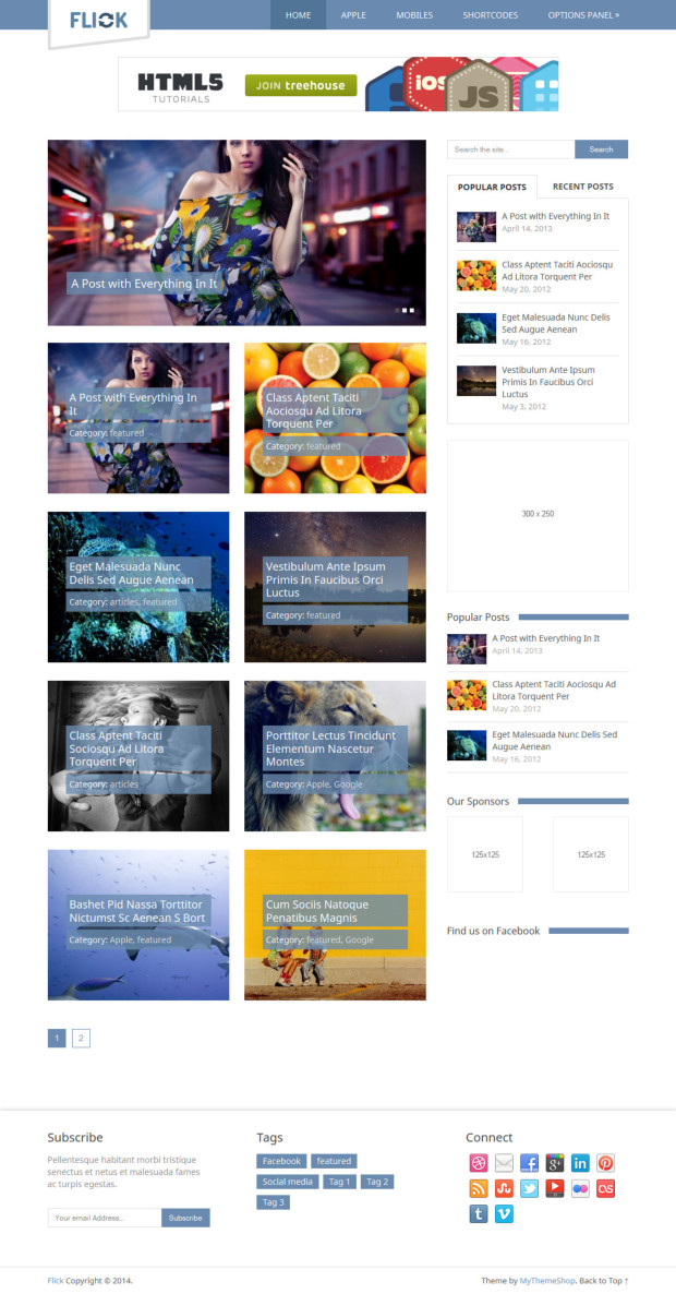 Flick WordPress Theme Home Page