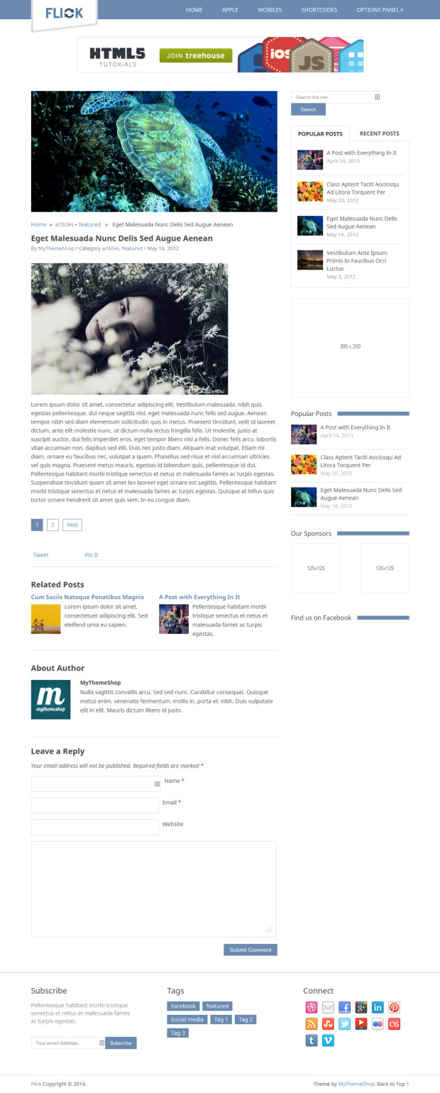 Flick WordPress Theme Blog Post
