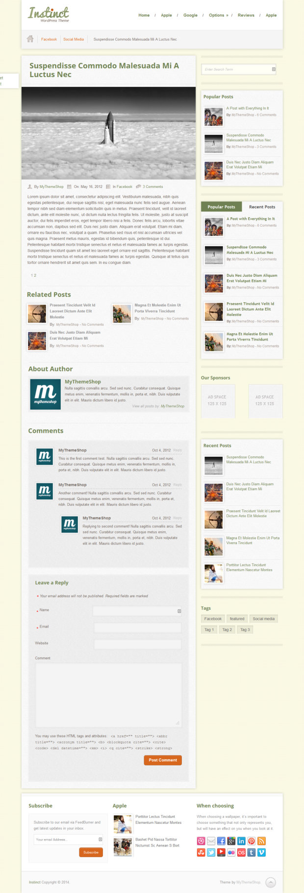 Instinct WordPress Theme Blog Post