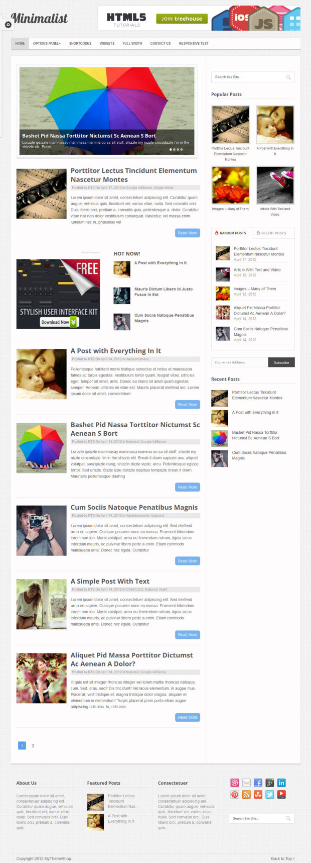 Minimalist WordPress Theme home page