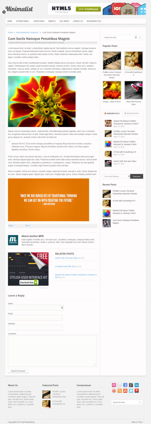 Minimalist WordPress Theme blog post