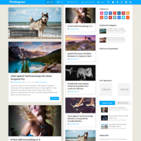 Pinstagram WordPress Theme