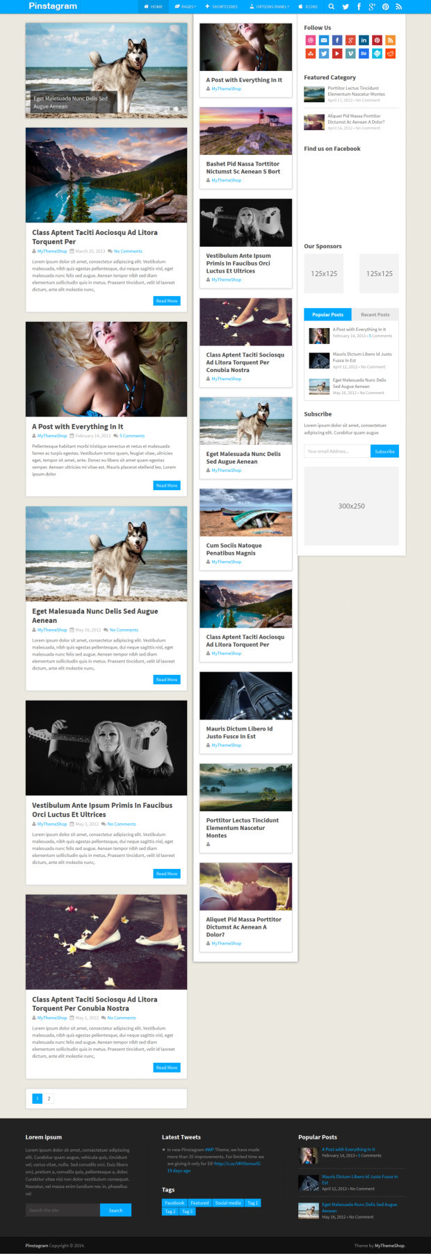 Pinstagram WordPress Theme Home Page