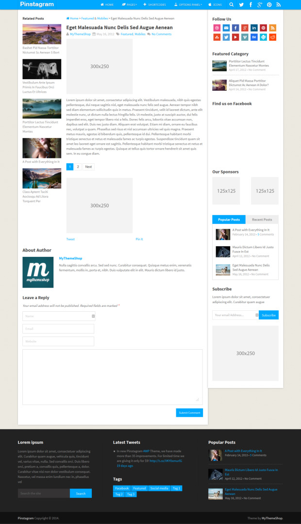 Pinstagram WordPress Theme Blog Post