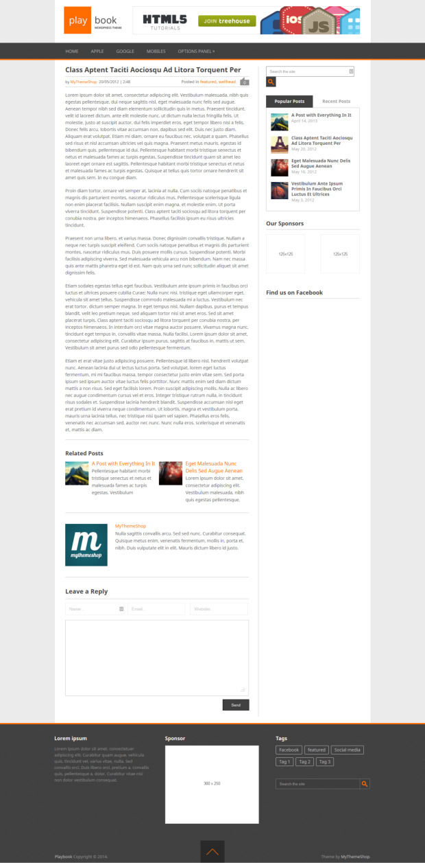 Playbook Free WordPress Theme Blog Post