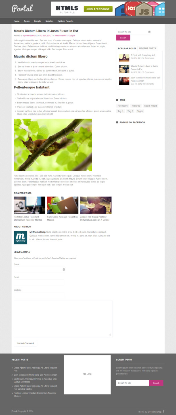 Portal Free WordPress Theme Blog Post