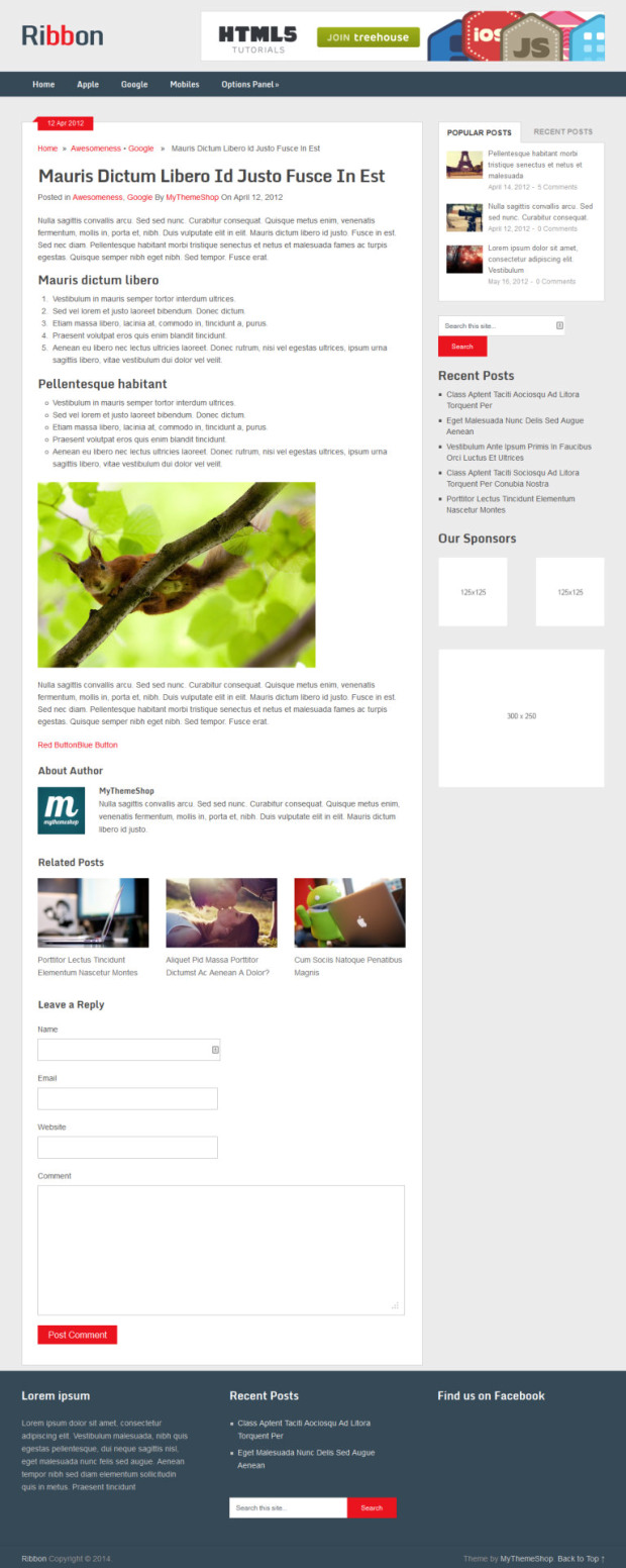 Ribbon Free WordPres Theme Blog Post