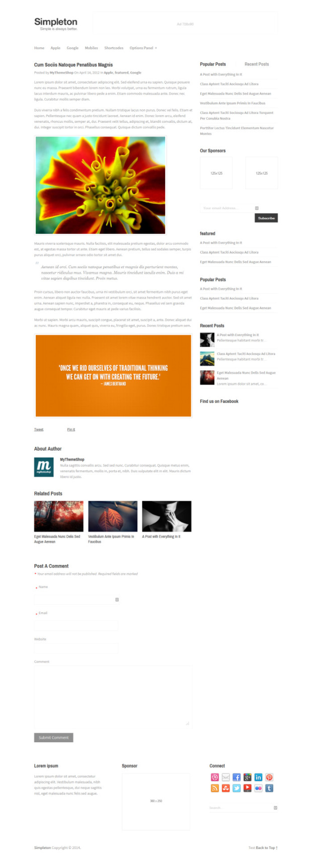 Simpleton Minimalist WordPress Theme Blog Post Simpleton Minimalist WordPress Theme Blog Post