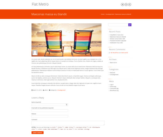 Flat Metro WordPress Theme Blog Post