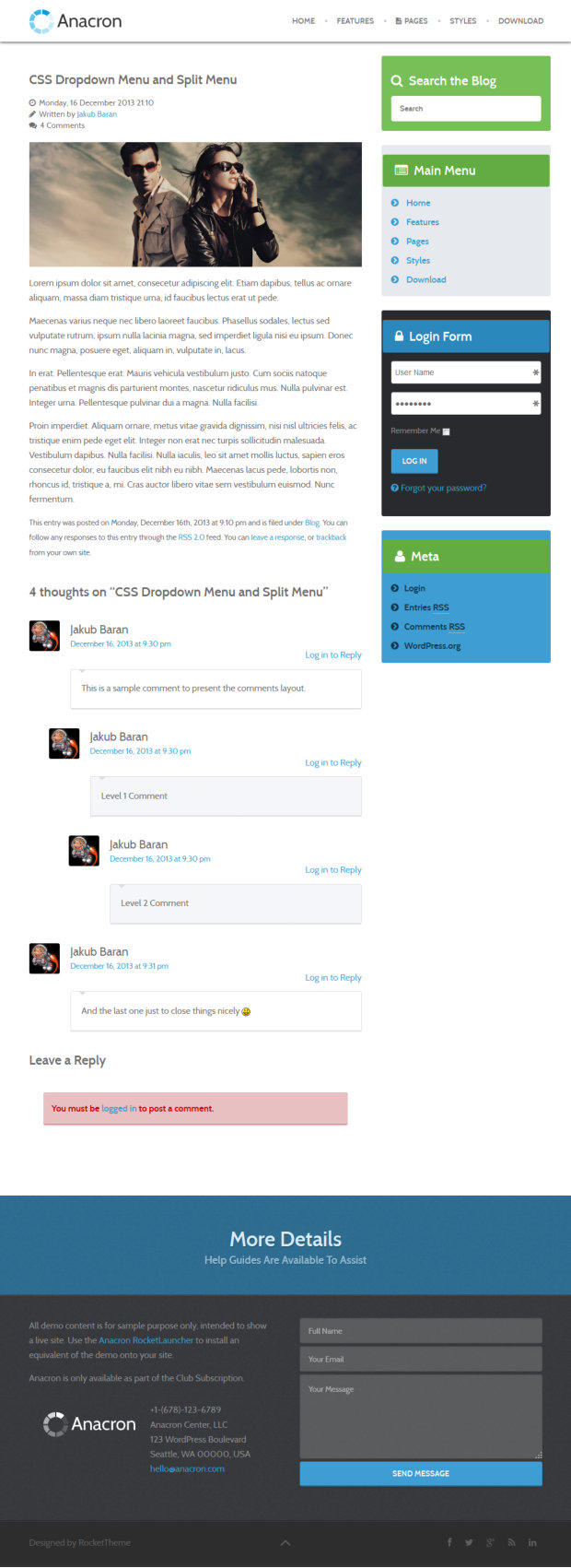 Anacron WordPress Theme Post page