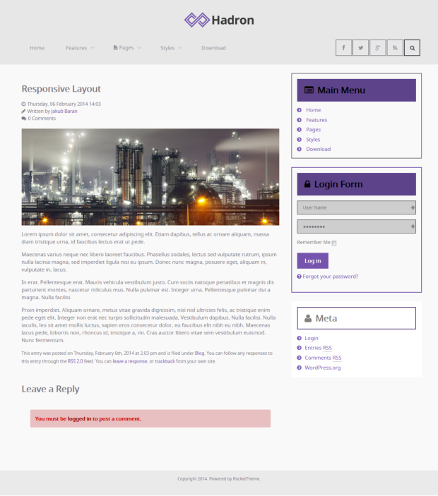 Hadron WordPress Theme Post