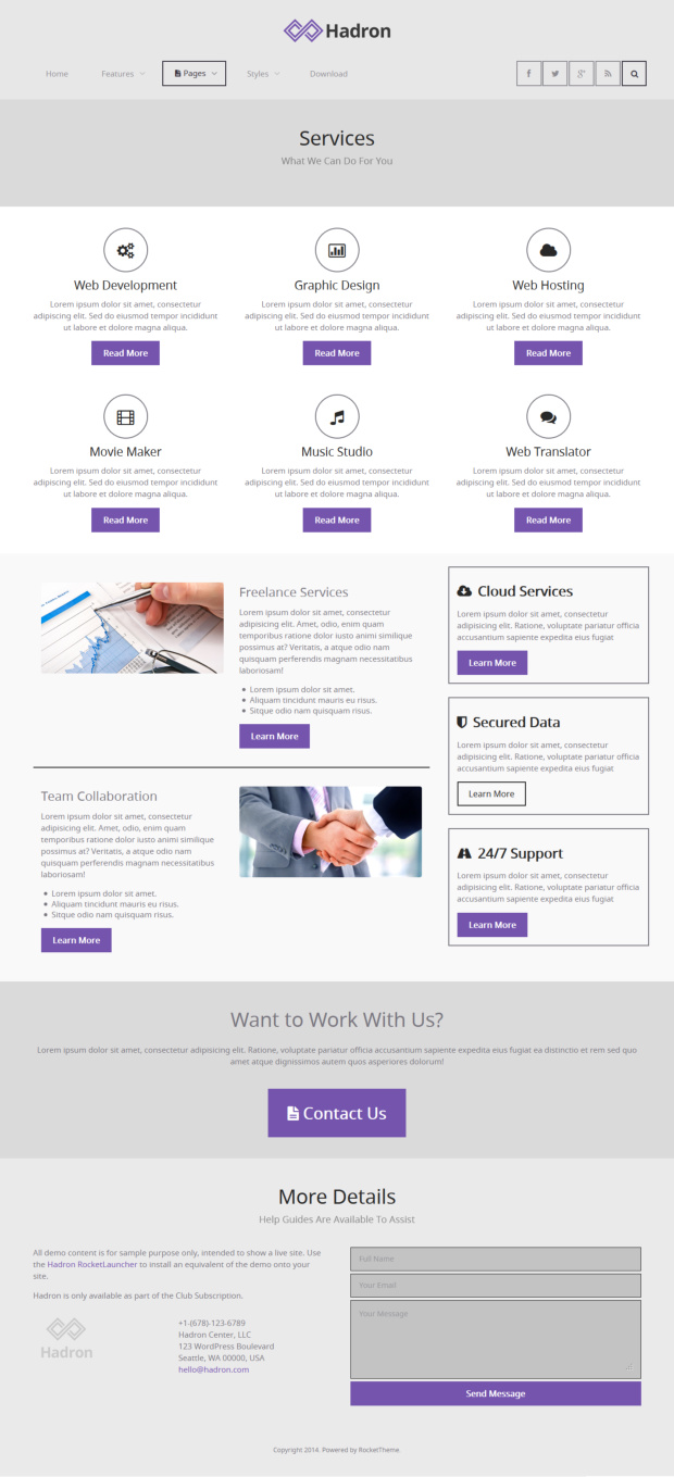 Hadron WordPress Theme Services