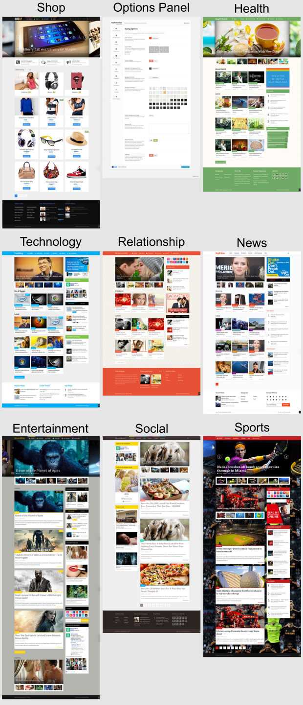 MagXP WordPress Theme Examples