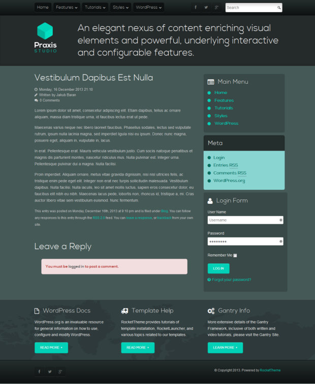 Praxis WordPress Theme Blog Post