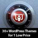 30+ WordPress Themes For 1 Low Price