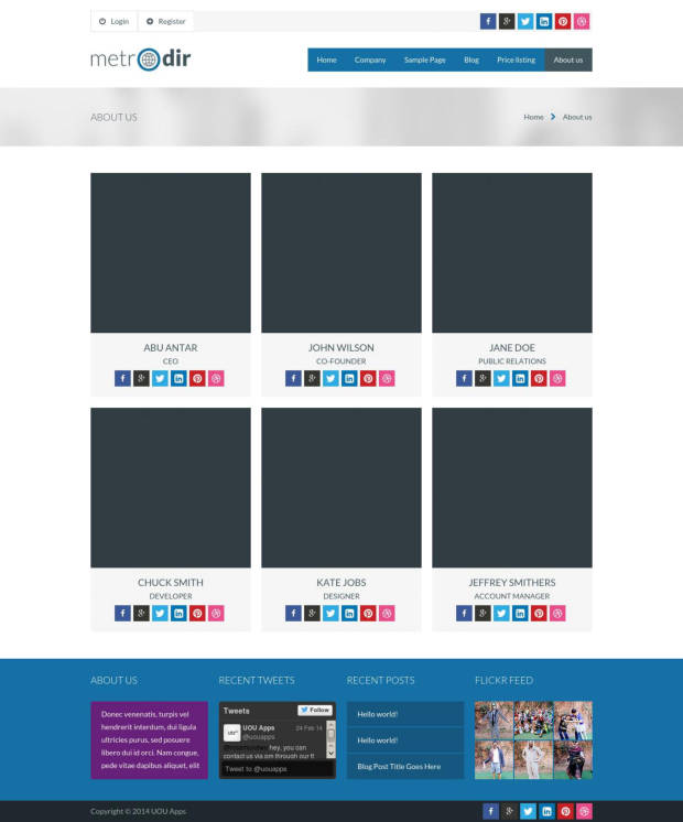 Metrodir WordPress Theme About Us Page