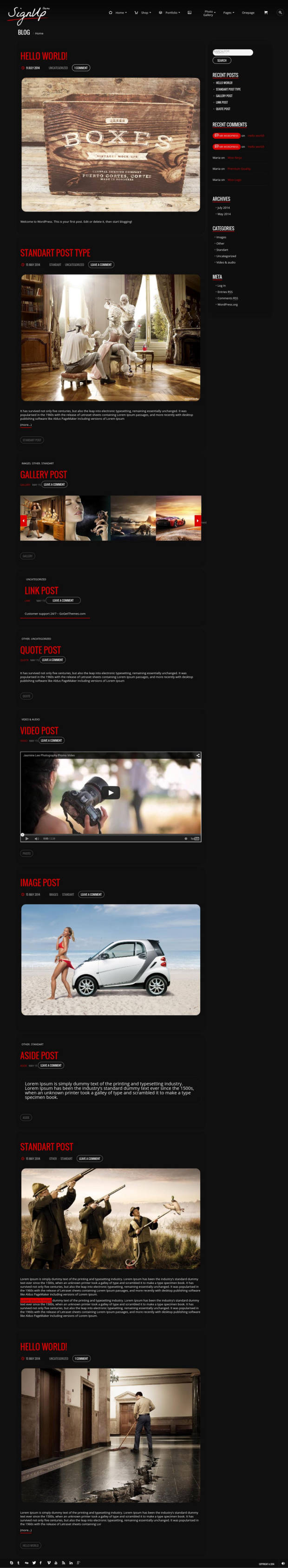SignUp WordPress Theme Blog Page