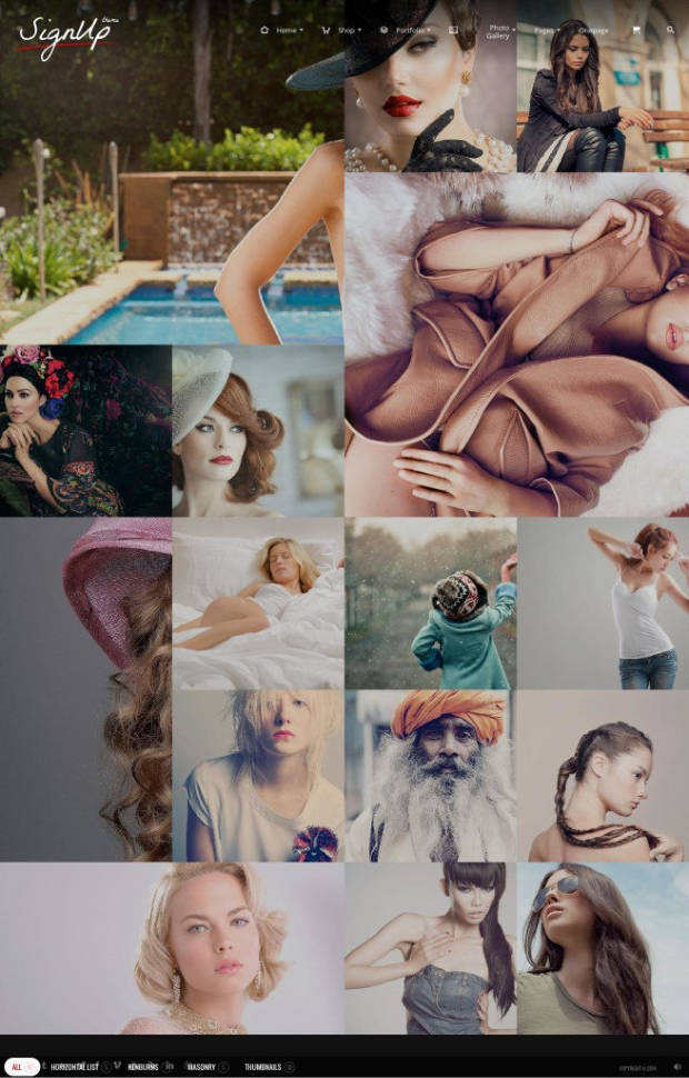 SignUp WordPress Theme Gallery