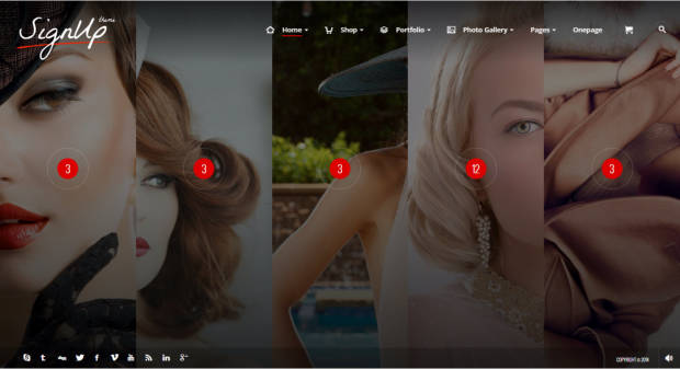 SignUp WordPress Theme Home Page