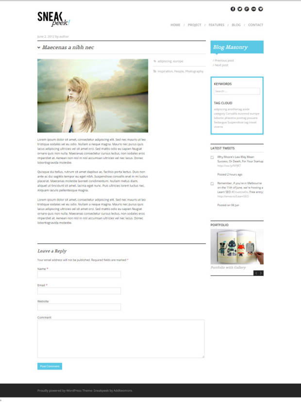 Sneakpeek WordPress Theme Blog Post
